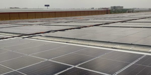 renew-Jaipur-suntrap-solar-panel-6-min-768x768