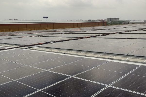 renew-Jaipur-suntrap-solar-panel-6-min-768x768